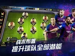图文档,编号,2026世界杯,2026世界杯,世界杯赛程,参赛球队,比赛亮点,体育动态