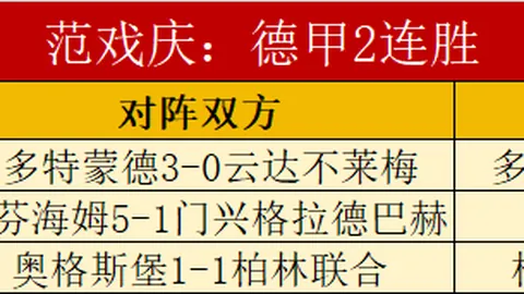 广州男篮：逆境伤病，育新全力迎战赛季